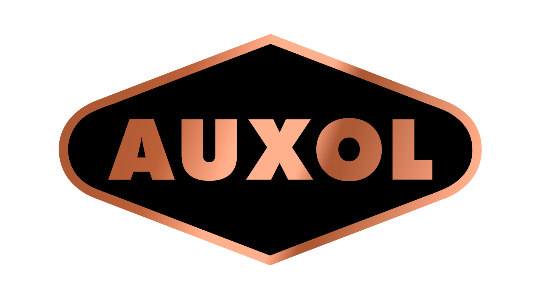 AUXOL - AUTOECO AFTERMARKET (1)