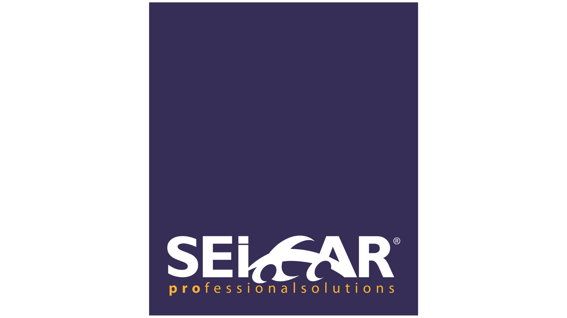 SEICAR (1)